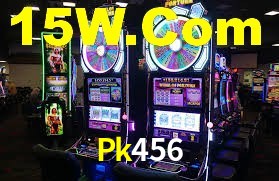 Premium Interface Pk456